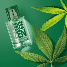 Solinotes Herbe Zen Eau de parfum 50ml