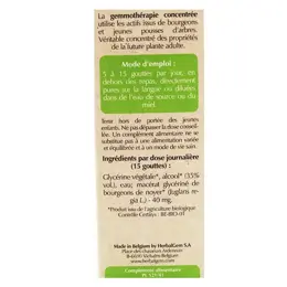 Herbalgem Macérat Concentré Noyer Bio 30ml