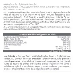 Vitasil Articulasil Silicium + MSM 1L