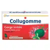 Cooper Collugomme Eucalyptus Menthe Poivrée 30 gommes