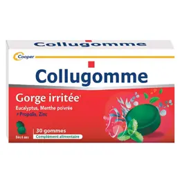 Cooper Collugomme Eucalyptus Menthe Poivrée 30 gommes