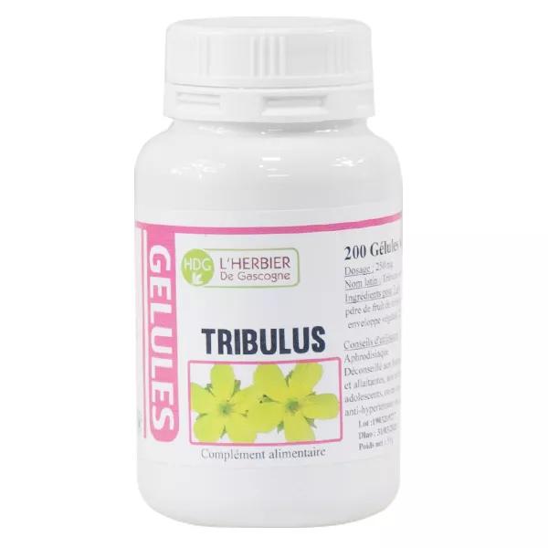 Le Comptoir de l'Apothicaire Tribulus Terristris 200 cápsulas vegetales