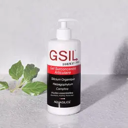 Aquasilice GSIL Pro Gel Surconcentré Articulaire 500ml