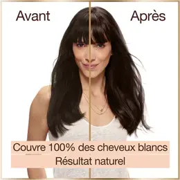 Garnier Good Coloration N°4.0 Châtain Cacao