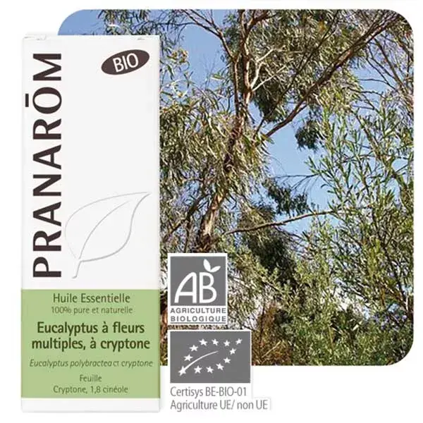 Pranarom Huile Essentielle Bio Eucalyptus à Cryptone 10ml
