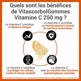 Vitascorbol Gommes Vitamine C 250mg 45 gommes