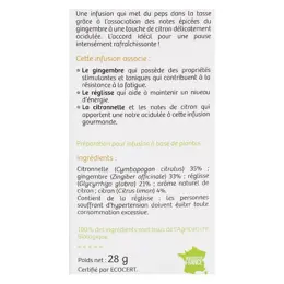 Vitavea - BioNutrisanté - Infusion gingembre citron Tonifiant - 20 sachets