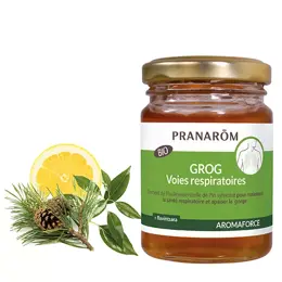 Pranarom Aromaforce Grog Voies Respiratoires Bio 140g