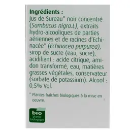 A.Vogel Echinaforce Immunité Hot Drink Sureau et Echinacea 100ml