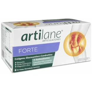 Artilane Forte Articulations 15 Ampoules