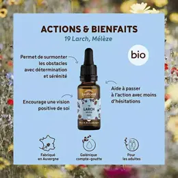 Biofloral Fleur De Bach 19 Larch Meleze Compte Gouttes Bio Demeter 20 ml