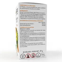 Arkopharma Arkogélules Tribulus Bio 40 gélules