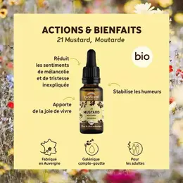 Biofloral Fleur De Bach 21 Mustard Moutarde Compte Gouttes Bio Demeter 20 ml