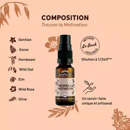 Biofloral Trouver La Motivation Spray Bio Demeter Spray Emotions 20 Ml