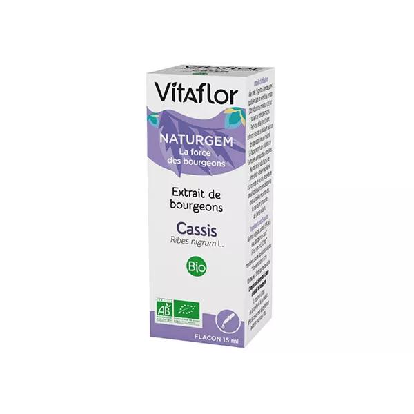 Grosella negra Vitaflor fin citar brotes Bio 15ml