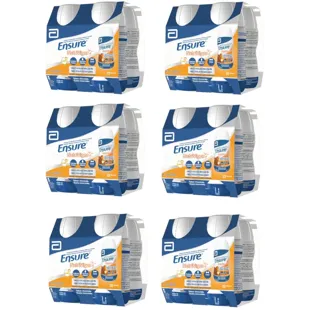 Ensure Nutrivigor Chocolate 24x220 ml