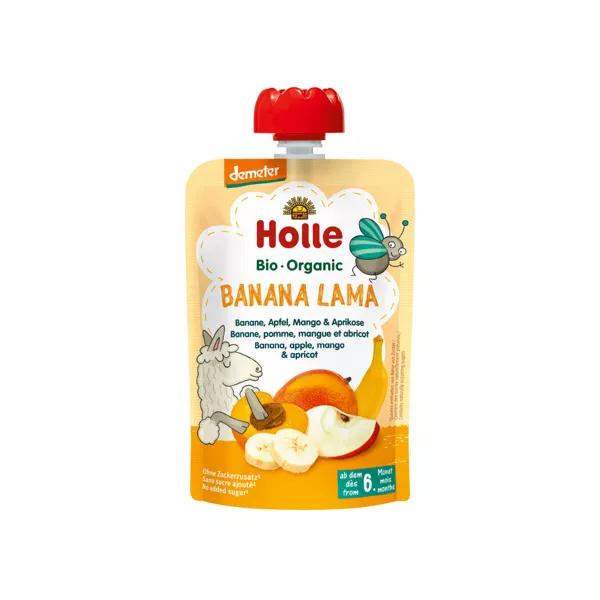 Holle Gourde Bio Banana Manzana Mango Albaricoque 6m+ 100g