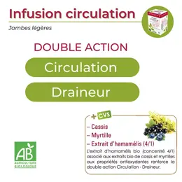 Nutrigée Infusion Circulation 10 Plantes 30 sachets