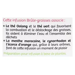 Vitavea - BioNutrisanté - Infusion Brûle graisse - 20 sachets