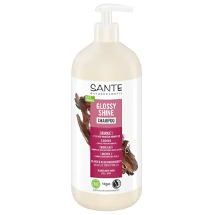Sante Radiant Shine Shampoo with Organic Birch 950 ml
