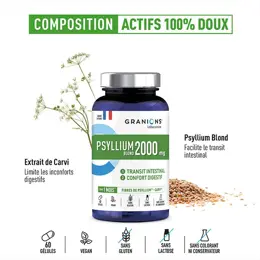 Granions Psyllium blond 2000mg Confort digestif 60 Gélules