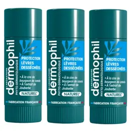 Dermophil Indien Sticks Protection Lèvres Desséchées Bio Lot de 3 x 4g