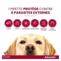 Advantix Chien Solution Antiparasitaire Race Moyenne 10 à 25kg 6 pipettes