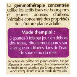 Herbalgem  Complexe de Gemmothérapie Transigem GC20 Bio 30ml