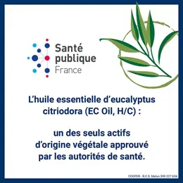 Insect Ecran Anti-Moustiques Spray Actif Végétal 100ml