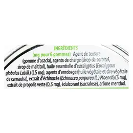 Forté Pharma Forté Royal Gomme Gorge Eucalyptus 45g