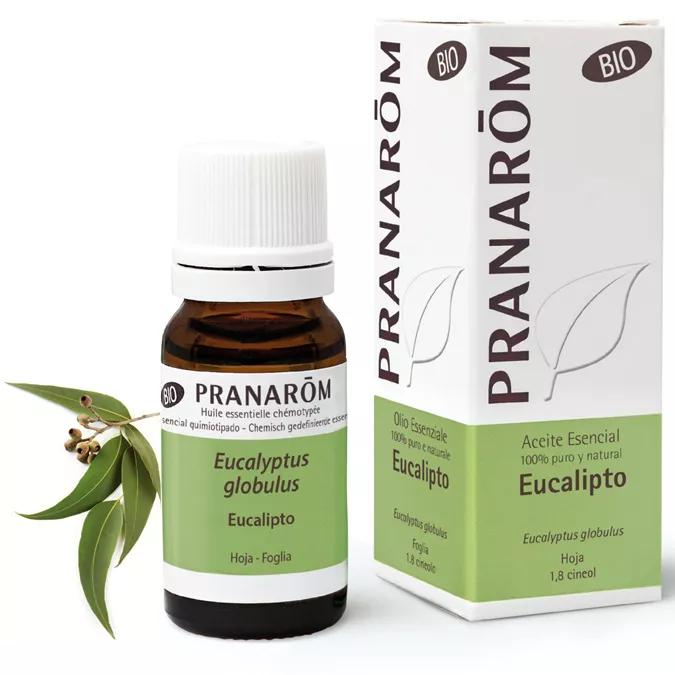 Eucalyptus etherische olie BIO Pranarom 10ml