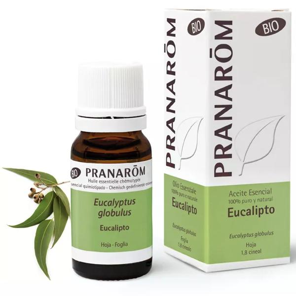 Essential oil eucalyptus BIO Pranarôm ml