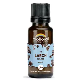 Biofloral 19 Larch Meleze Granules Bio Fleur De Bach Granules 19,5 Gr