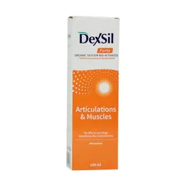 Dexsil Gel Corporel Articulations MSM 100ml