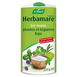 A.Vogel Herbamare Sel Marin Plantes et Légumes Frais Bio 250g