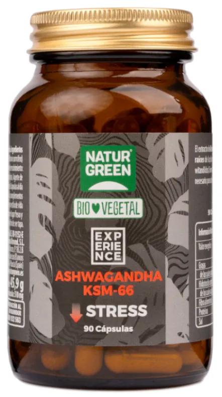 NaturGreen Experience Memory Brain Bio 90 Capsules