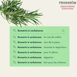 Pranarom Huile Essentielle Romarin à Verbénone Bio 5ml