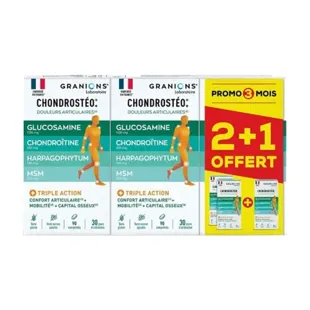 Granions Chondrostéo Articolazioni Lotto di 3 x 90 Compresse