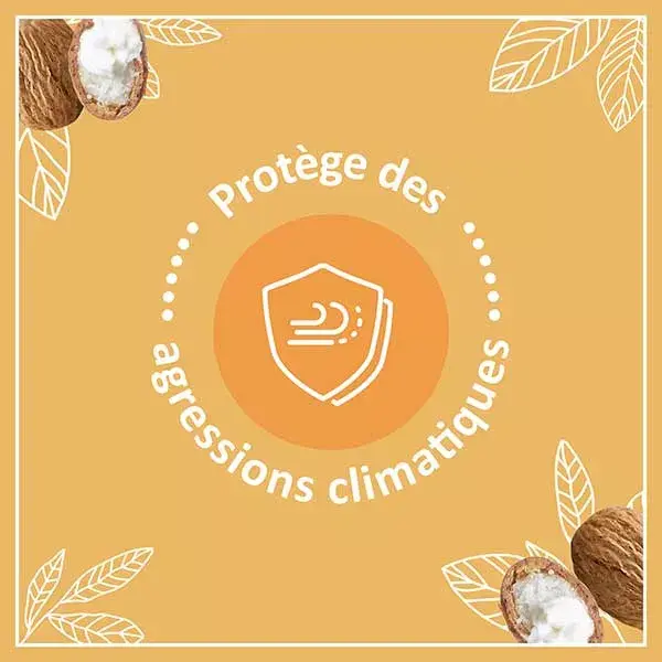 Le Petit Marseillais Soin Lèvres Nutrition Karité, Amande Douce et Argan 4,9g