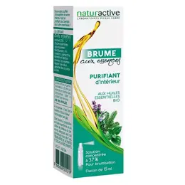 Naturactive Brume aux Essences Purifiant d'Intérieur 15ml