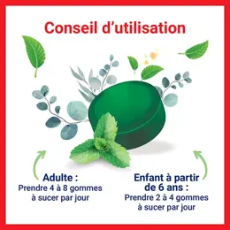 Cooper Collugomme Eucalyptus Menthe Poivrée 30 gommes