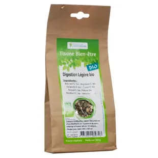 Il contatore della luce speziale tisana digestione Bio 100 g