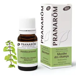 Pranarom Huile Essentielle Bio Menthe des Champs 10ml