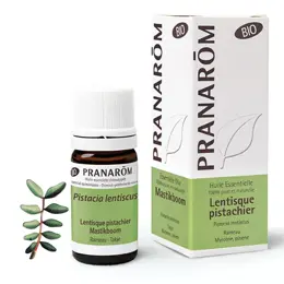 Pranarom Huile Essentielle Bio Lentisque Pistachier 5ml