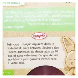 Babybio Desserts Végétaux Pot Brassé Avoine Banane Myrtille +6m Bio 2 x 130g