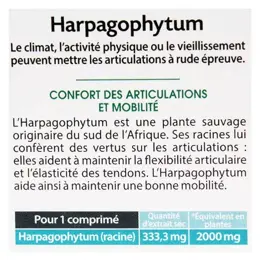 Juvamine Harpagophytum 2000mg 30 comprimés