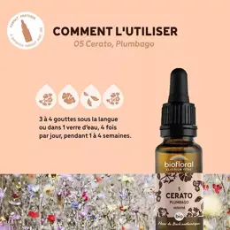 Biofloral Fleur De Bach 05 Cerato Plumbago Compte Gouttes Bio Demeter 20 ml