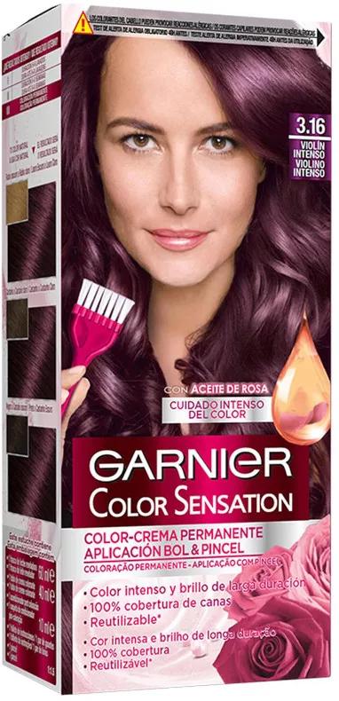 Garnier Color Sensation Tinte 3.16 - Violín