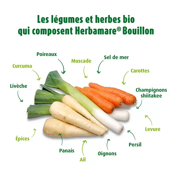 A.Vogel Herbamare Organic Concentrate 250g