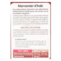 Juvamine Marronnier d'Inde 30 gélules